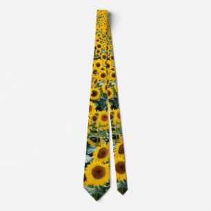 Sunflowers, Wisconsin field Tie