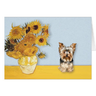 Sunflowers - Yorkshire Terrier 17