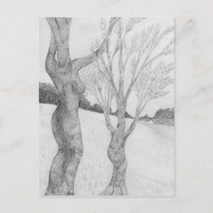 SunGathering Postcard