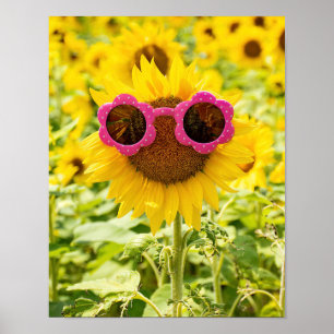 Sunglasses On Sunflower Poster
