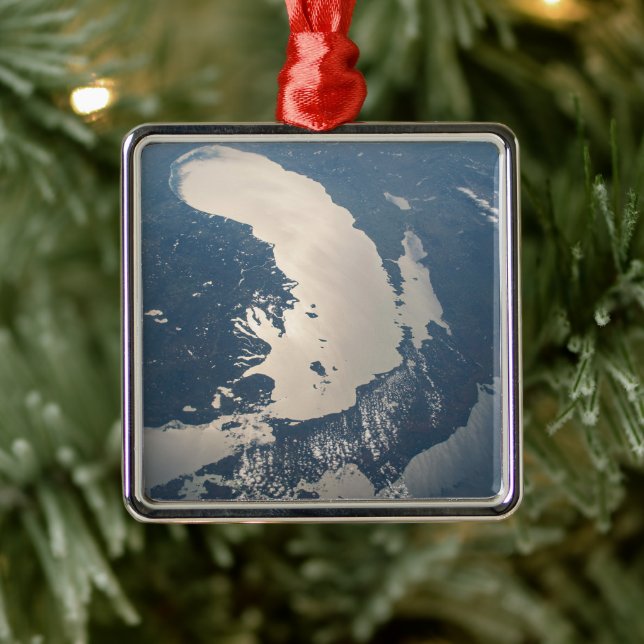 Sunglint Beams Off Lake Michigan Metal Tree Decoration (Tree)
