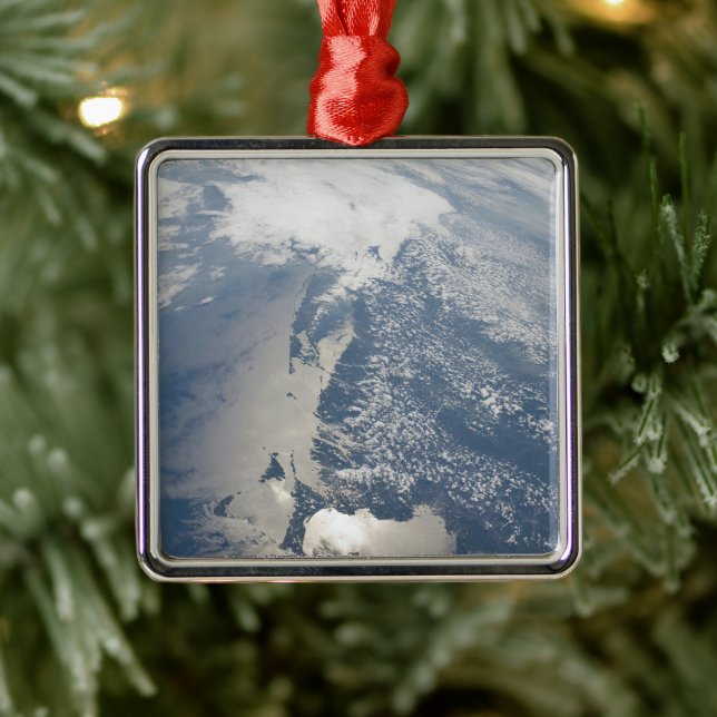 Sunglint On The Massachusetts Coastline. Metal Tree Decoration (Tree)