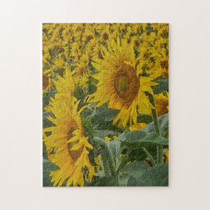 Sunkissed Sunflowers Puzzle, 11" x 14", 252 pieces Jigsaw Puzzle