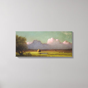 Sunlight and Shadow: The Newbury Marshes Canvas Print