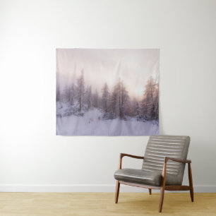 Sunlight and spruce forest tapestry