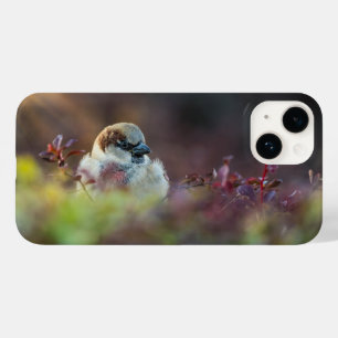 Sunlight Bathing Finch iPhone Case