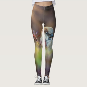 Sunlight Bathing Finch Leggings