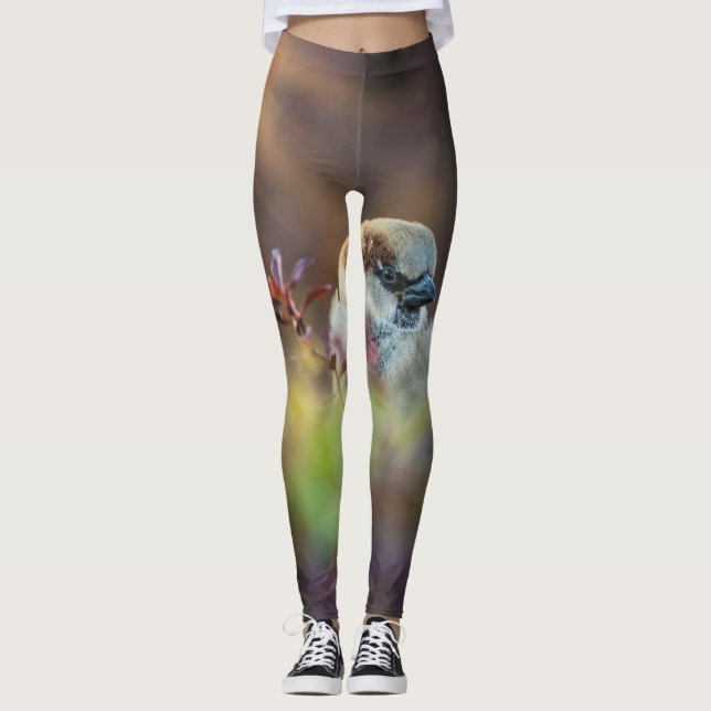 Sunlight Bathing Finch Leggings (Front)