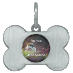 Sunlight Bathing Finch Pet ID Tag