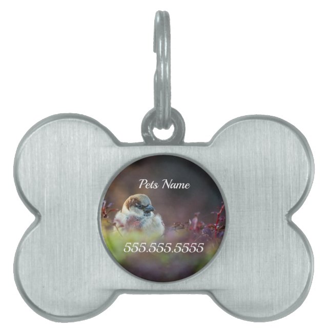 Sunlight Bathing Finch Pet ID Tag (Front)