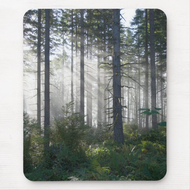 Sunlight Breaking Through a Misty Forest Mouse Mat (Front)