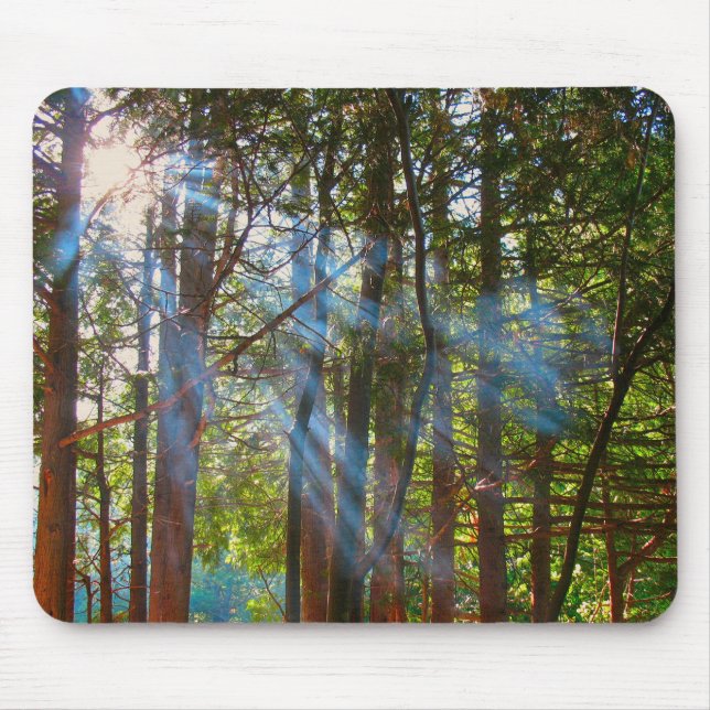 Sunlight Breaking Through the Pines Mouse Mat (Front)