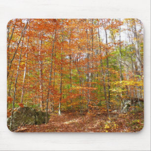 Sunlight Dappled Fall Trail at Laurel Hill Park Mouse Mat
