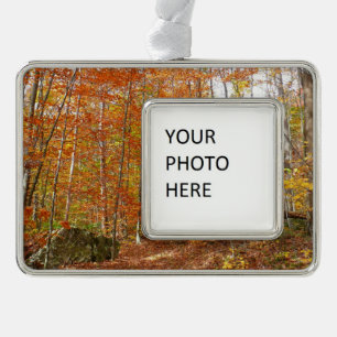 Sunlight Dappled Fall Trail at Laurel Hill Park Silver Plated Framed Ornament