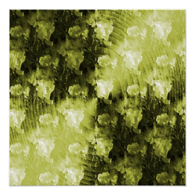 Sunlight Dreams... Poster (Front)