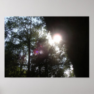 Sunlight Filtering Through at Old Man's Cave, Ohio Poster
