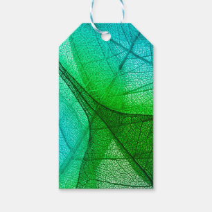 Sunlight Filtering Through Transparent Leaves Gift Tags