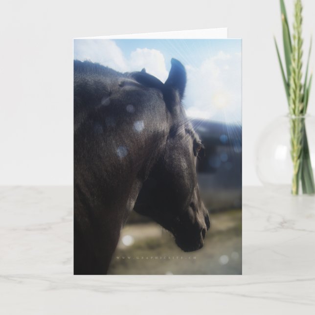 Sunlight - Greeting Card (Front)