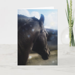 Sunlight - Greeting Card