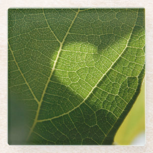 Sunlight Heart Leaf Glass Coaster