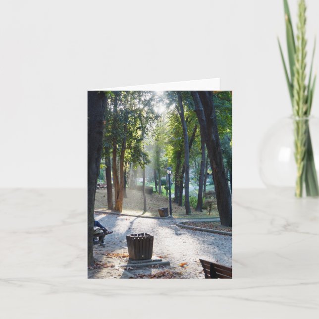 Sunlight in the Park - Note Card (Front)