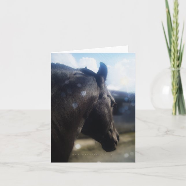 Sunlight - Notecard (Front)