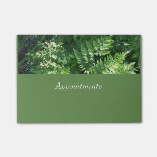 Sunlight on Ferns and Flowers Post-it Notes
