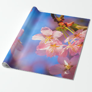 Sunlight On Sakura Flowers Wrapping Paper