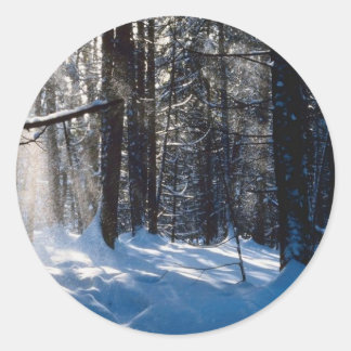 Sunlight On Snow Classic Round Sticker
