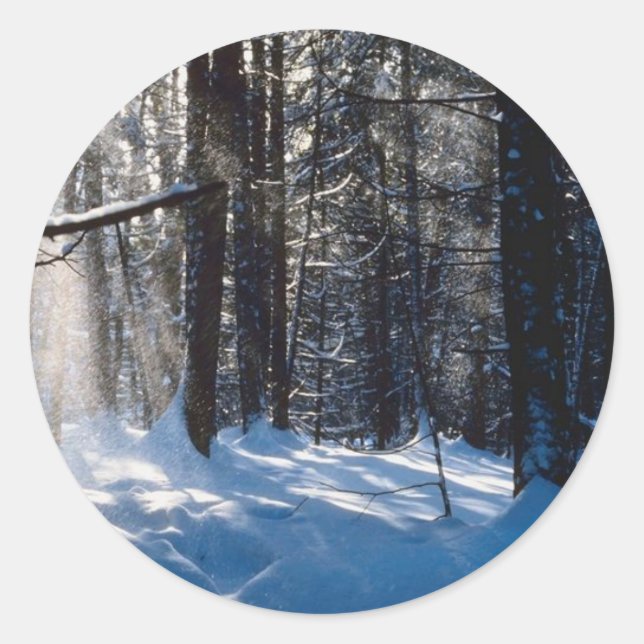 Sunlight On Snow Classic Round Sticker (Front)
