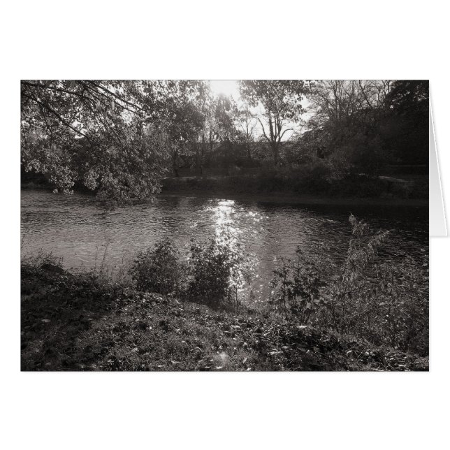 Sunlight on the Taff, Bute Park, Cardiff (Front Horizontal)