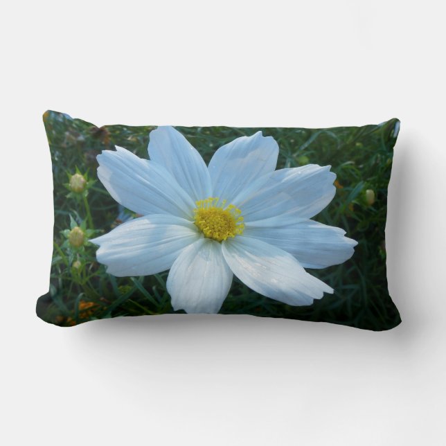Sunlight on White Cosmos Flower Floral Lumbar Cushion (Front)