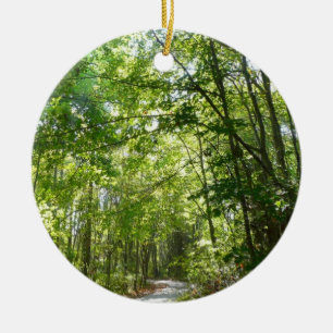 Sunlight on Wooded Path at Centennial Park Ceramic Tree Decoration