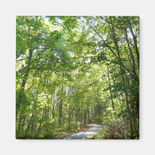 Sunlight on Wooded Path at Centennial Park Magnet
