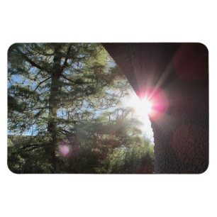 Sunlight Playing on Wall Flexible Magnet
