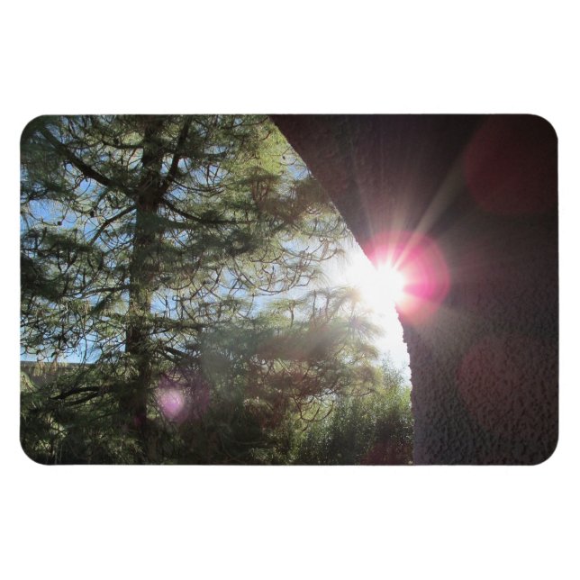Sunlight Playing on Wall Flexible Magnet (Horizontal)
