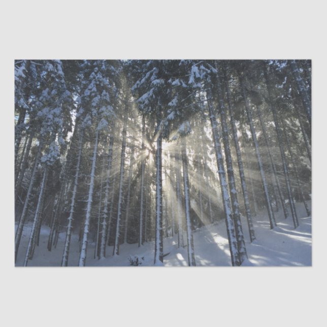 Sunlight Rays through Winter Snow Forest Tissue Paper (Front)