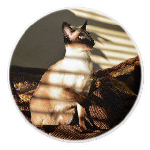 Sunlight Shadows Siamese Cat Ceramic Knob