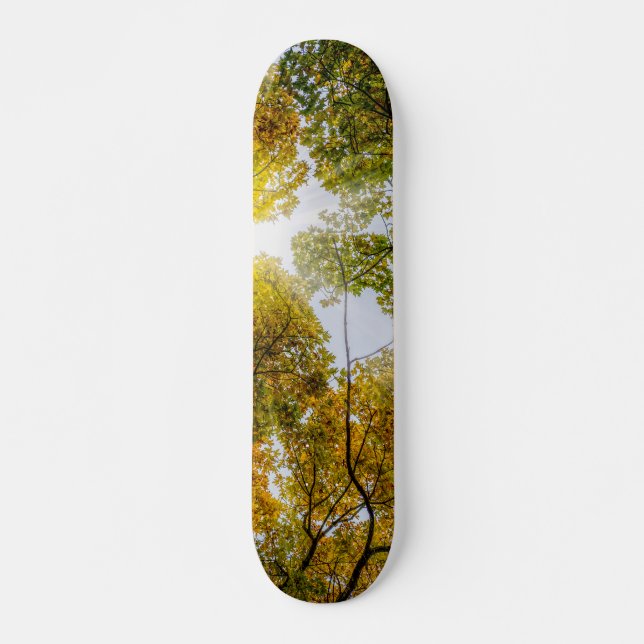 Sunlight Through Autumn Sugar Maples Skateboard (Front)