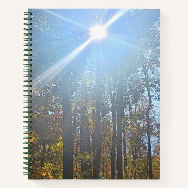 Sunlight Through Autumn Trees Spiral Journal (Front)