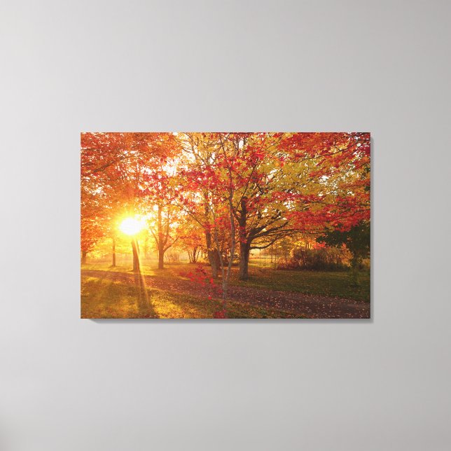 Sunlight through fall red maple trees canvas print (Front)