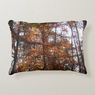 Sunlight Through Fall Tree at Greenbelt Decorative Cushion