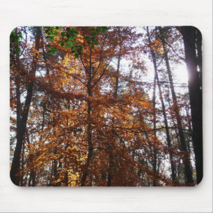 Sunlight Through Fall Tree at Greenbelt Mouse Mat