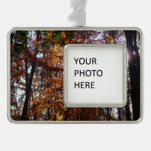 Sunlight Through Fall Tree at Greenbelt Silver Plated Framed Ornament