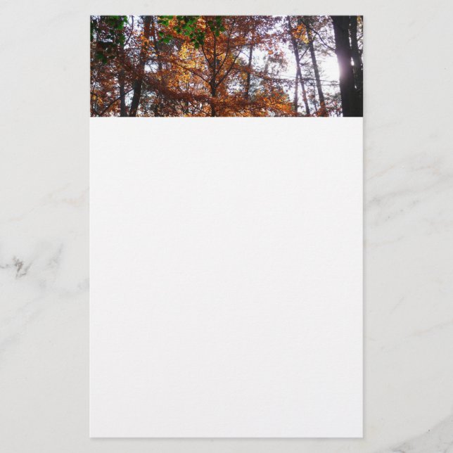 Sunlight Through Fall Tree at Greenbelt Stationery (Front)