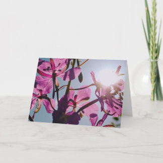 Sunlight Through Flowers Greeting Card