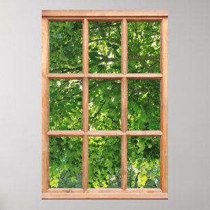 Sunlight through Leaves View from a Window Poster