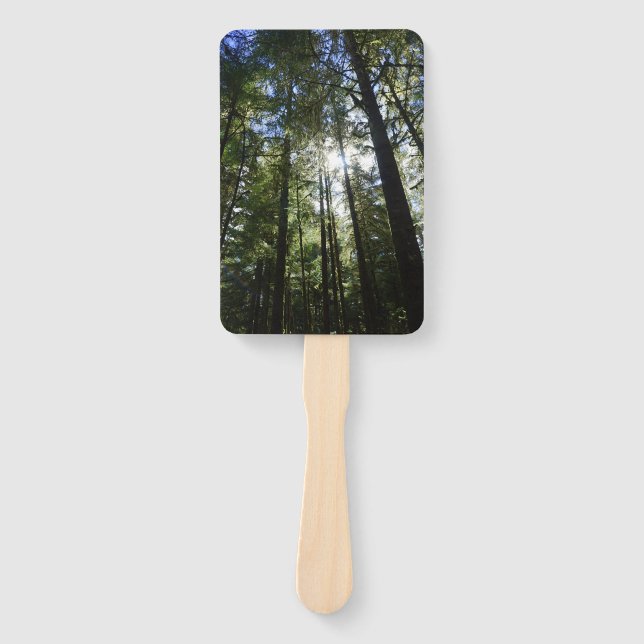 Sunlight Through Pine Trees Hand Fan (Front)