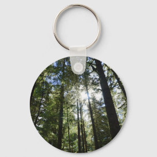 Sunlight Through Pine Trees Key Ring