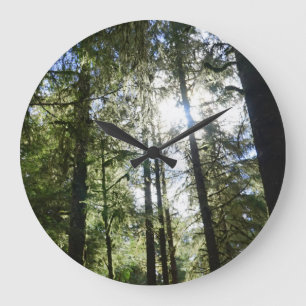 Sunlight Through Pine Trees Large Clock
